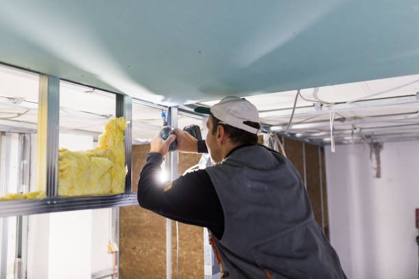 Best Cellulose Insulation in Mountain View, NC