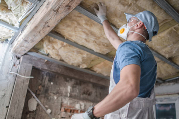 Best Specialized Insulation Services in Mountain View, NC
