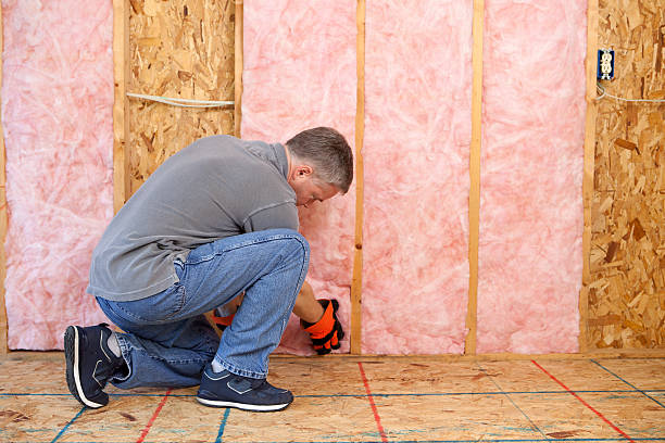 Best Energy Efficiency Insulation in Mountain View, NC